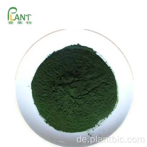 Natürliches Pigment Natrium-Kupfer-Chlorophyllin-Pulver 95%